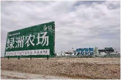 库尔勒绿洲农场