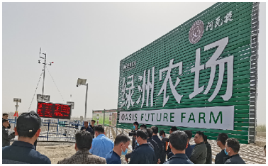 阿瓦提绿洲农场